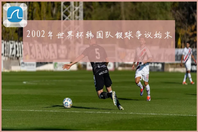 2002年世界杯韩国队假球争议始末