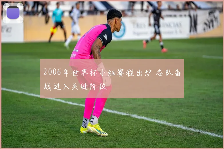 2006年世界杯小组赛程出炉 各队备战进入关键阶段