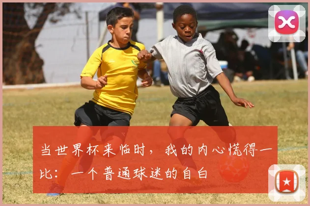 当世界杯来临时，我的内心慌得一比：一个普通球迷的自白
