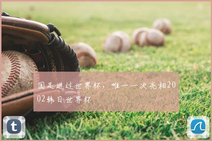 国足进过世界杯，唯一一次亮相2002韩日世界杯