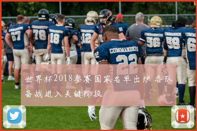 世界杯2018参赛国家名单出炉 各队备战进入关键阶段