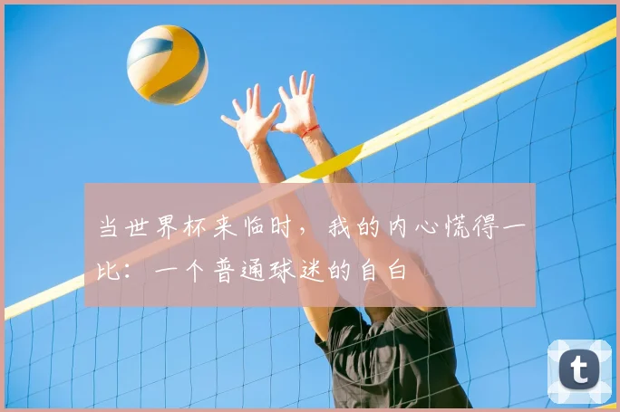 当世界杯来临时,我的内心慌得一比:一个普通球迷的自白